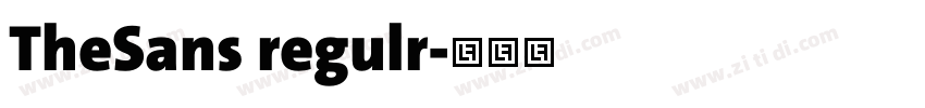 TheSans regulr字体转换